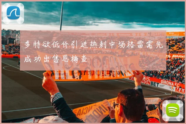 多特欲低价引进热刺中场格雷需先成功出售恩梅查
